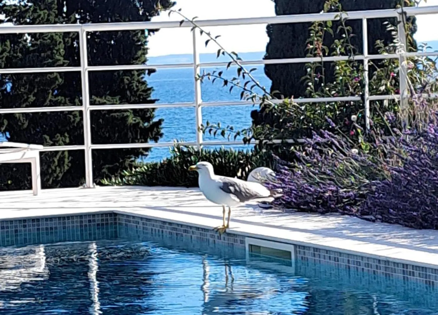 Apartment With Private Pool Split
